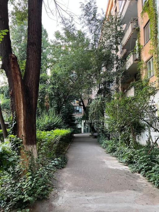 Heart Of Bucharest #Victoriei Apartamento Exterior foto